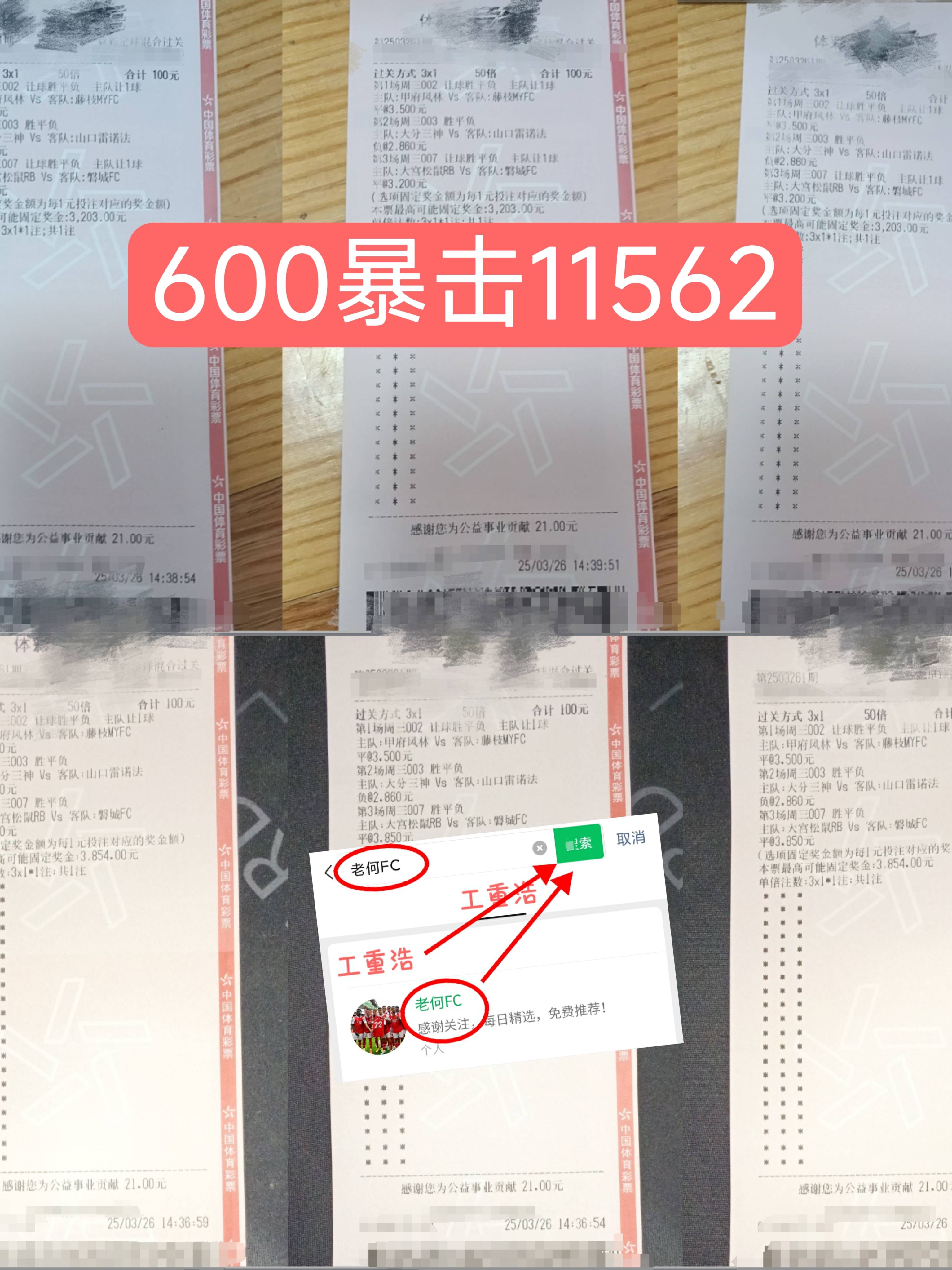 维罗纳击败帕尔马，稳步向前迈进